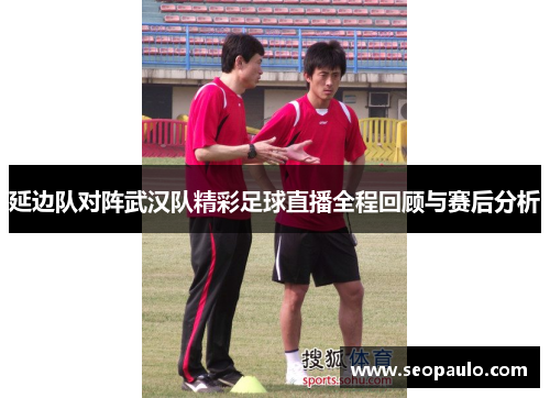 延边队对阵武汉队精彩足球直播全程回顾与赛后分析